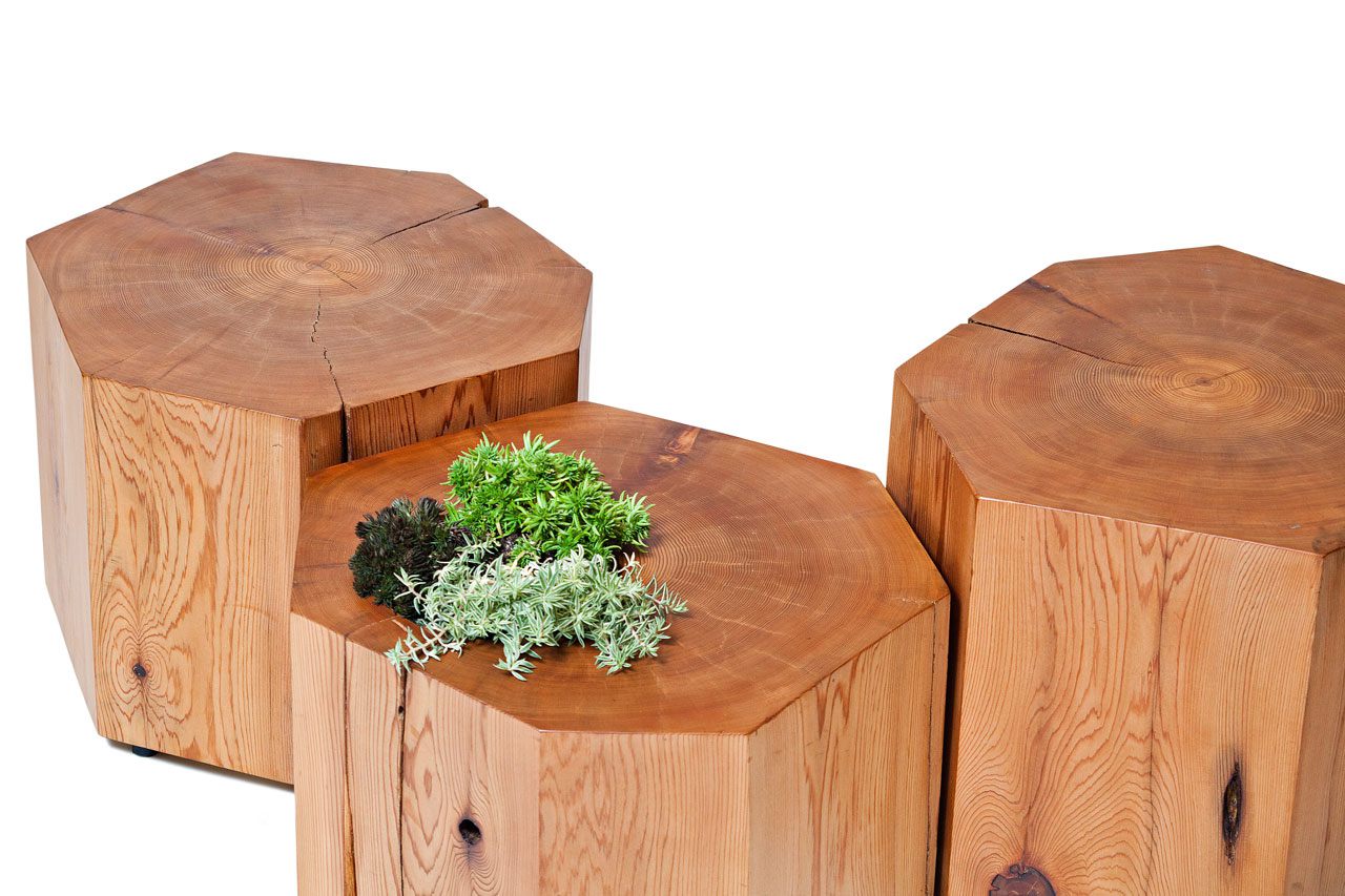 Nurselog Table