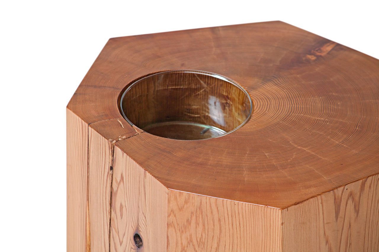 Nurselog Table